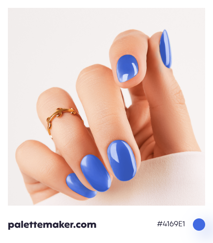 Royal Blue Color - HEX #4169E1 Meaning and Live Previews - PaletteMaker
