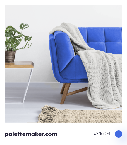 Royal Blue Color - HEX #4169E1 Meaning and Live Previews - PaletteMaker